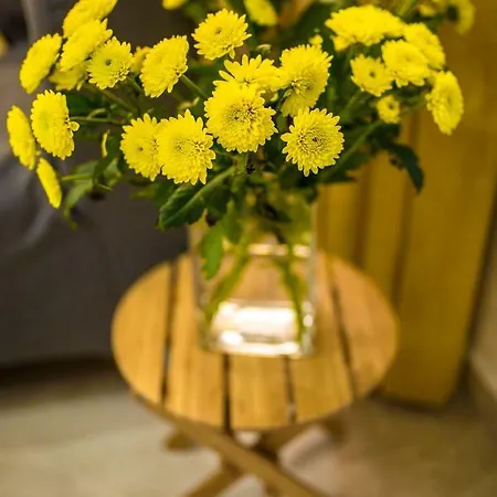 Arena Center Appartement *