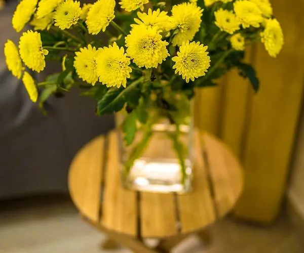 Arena Center Lejlighed *